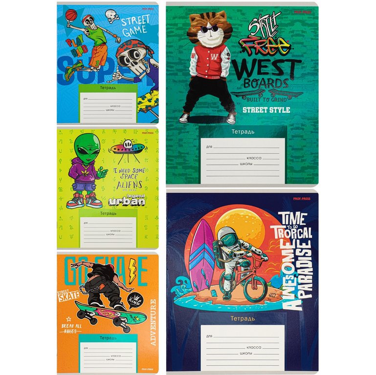 Тетрадь 12 лист лин. косая А5 "МОЛОДЁЖНЫЙ СТИЛЬ" 5 ВИДОВ