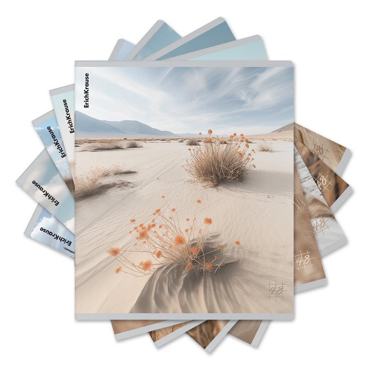 Тетрадь 48 лист кл. А5+ на скрепке "Pasifico" ErichKrause, 5 видов