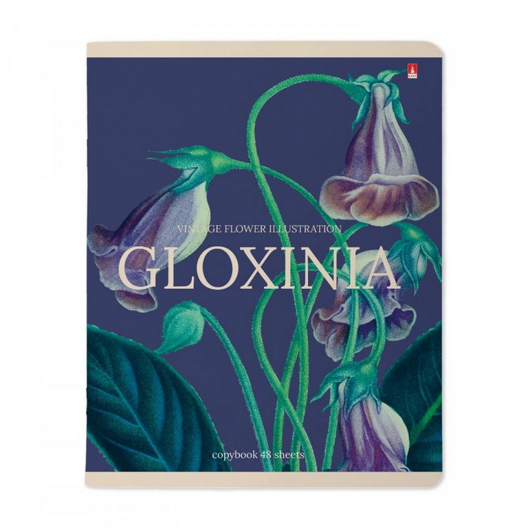 Тетрадь 48 лист кл. А5 на скрепке "ЦВЕТЫ. ФЕЕРИЯ NEW"  5 ВИДОВ