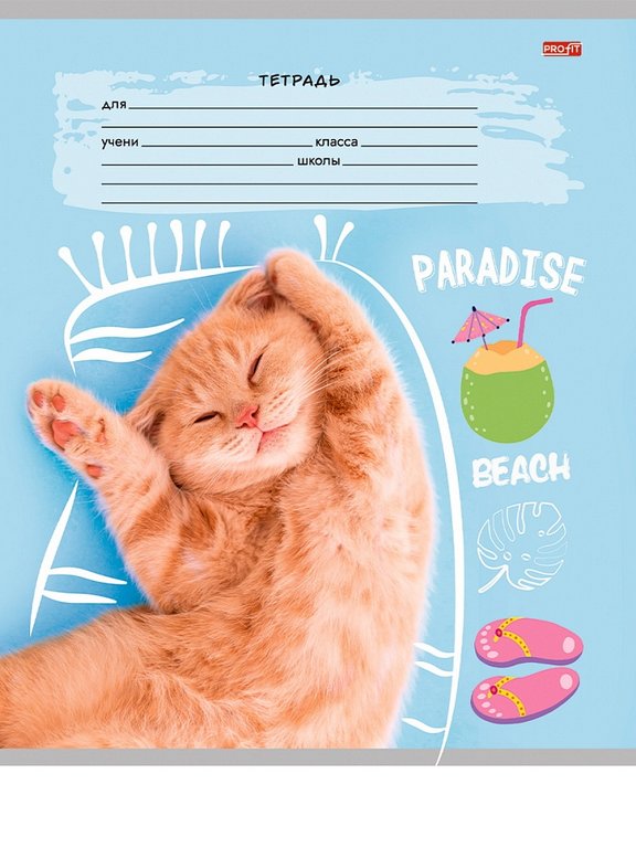 Тетрадь 18 лист кл. А5 "КРЕАТИВНЫЕ КОТЫ" ассорти Profit