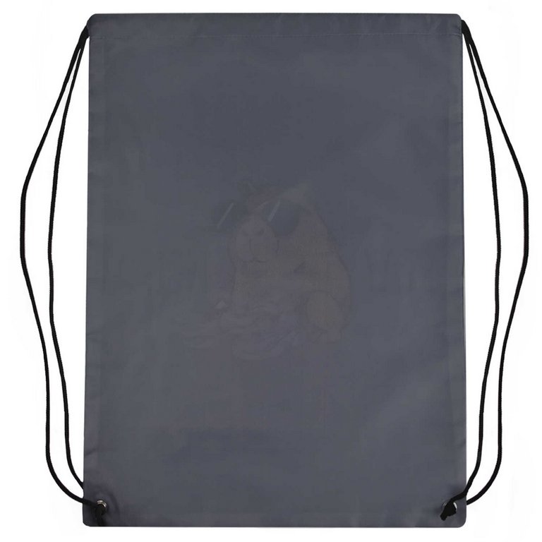 Сумка для обуви для мальчика 48*36 см Феникс+ "Чудная капибара"