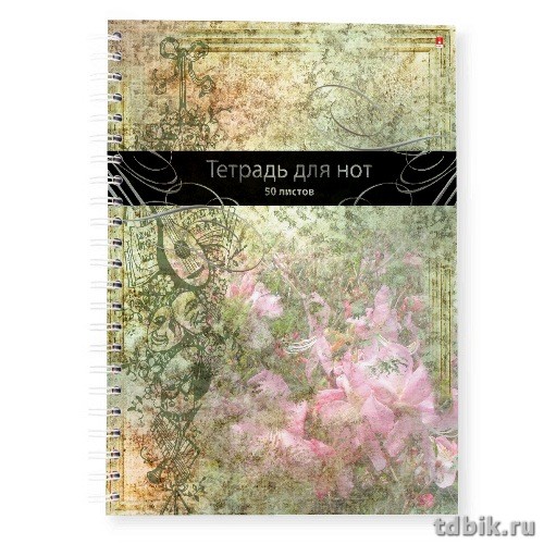 Тетрадь для нот 50 л., А4 на гребне (вертикальная)