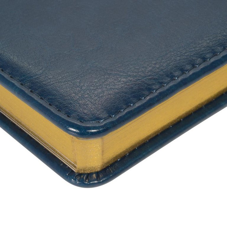 Ежедневник без дат 145*216 мм Альт "Sidney" синий, золотой срез