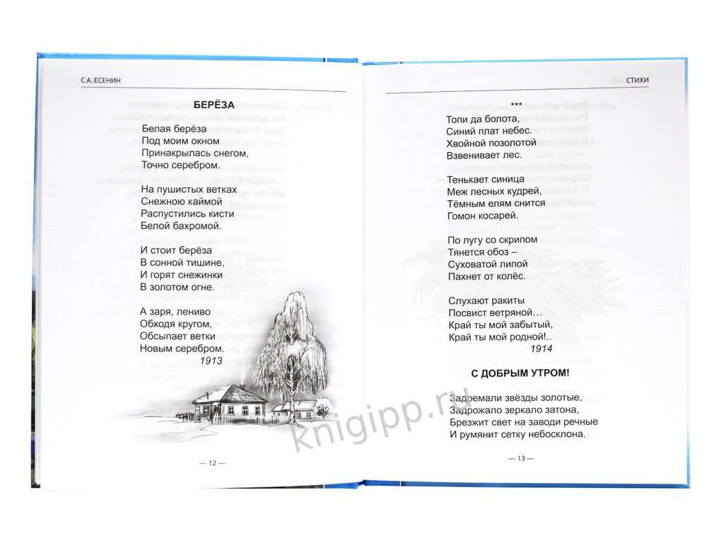 Книга детская Библиотека школьника "Стихи" 96 стр С. Есенин