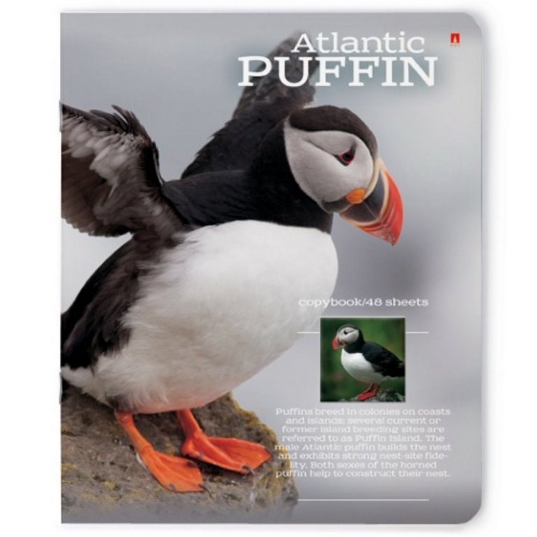 Тетрадь 48 лист кл. А5 на скрепке "РАЙСКИЕ ПТИЦЫ"