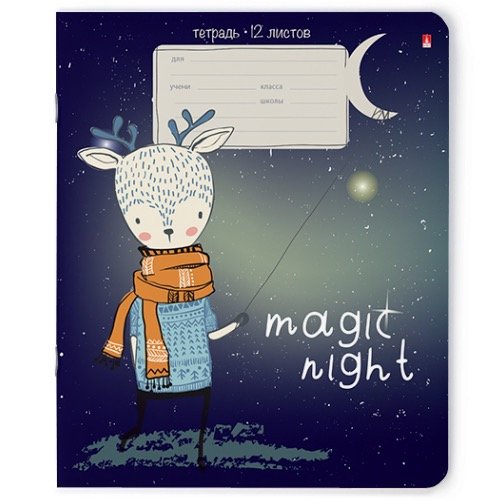Тетрадь 12 лист лин. А5 "MAGIC NIGHT" 5 видов