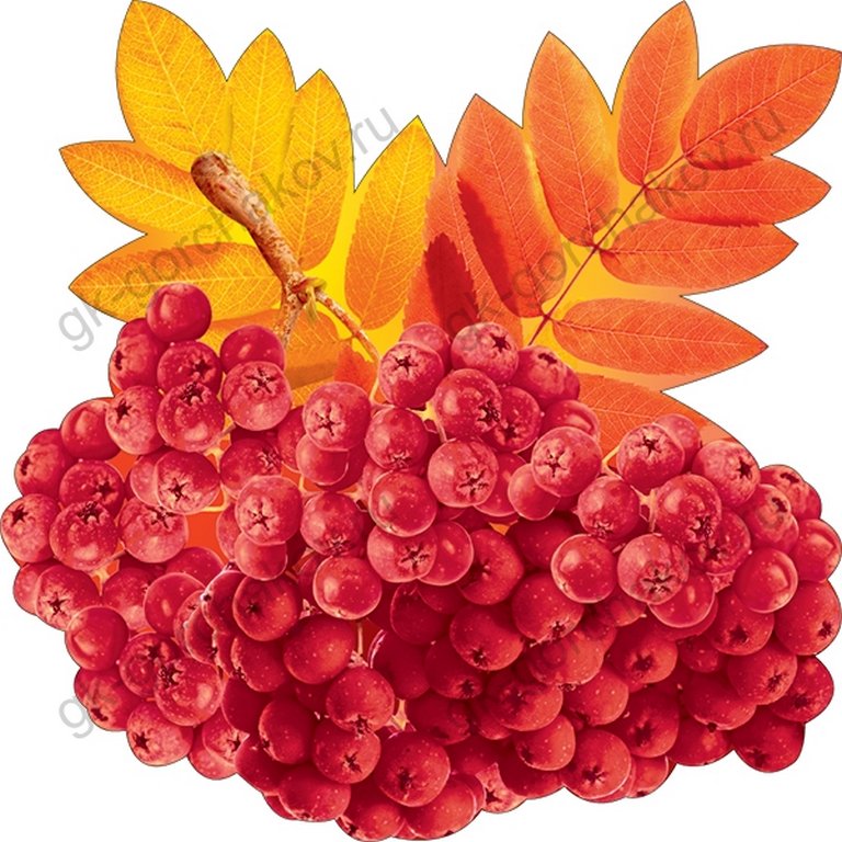 Наклейка оформительская на скотче осенняя 150*150мм "Рябина"