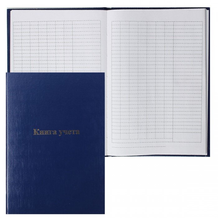 Книга учета  96 лист пустогр. А4, твердая обложка, картон, бумвинил deVENTE