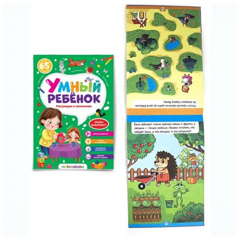 Книга детская Умный ребенок "Рассуждаю и запоминаю"