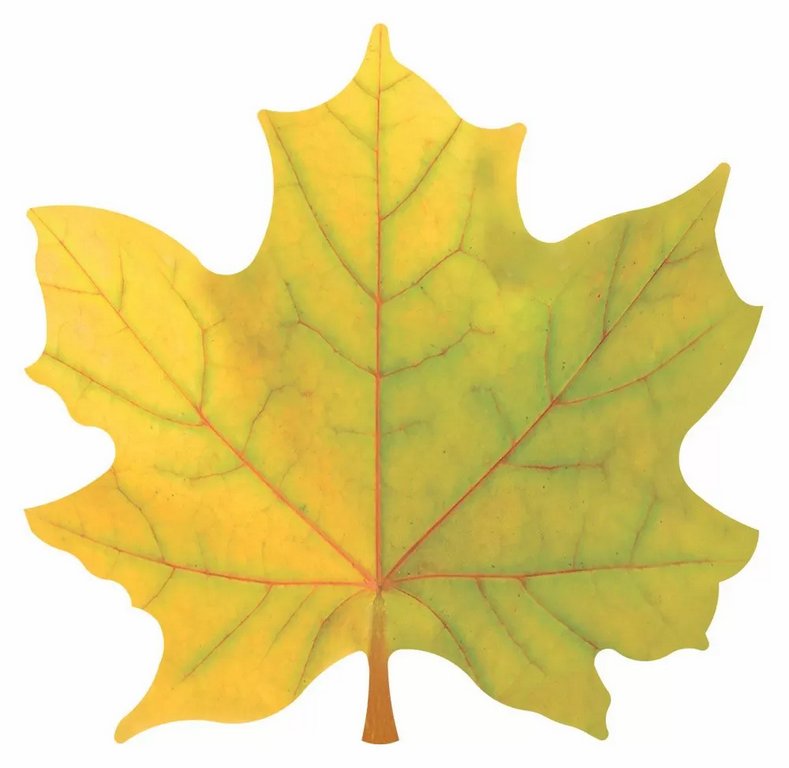 Наклейка оформительская на скотче осенняя  100*100мм "Кленовый лист" желтый
