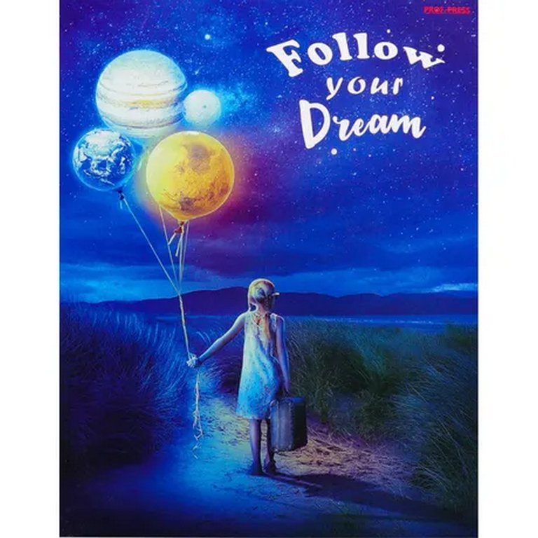 Тетрадь 100 лист кл. А5 на кольцах "СЛЕДУЙ ЗА МЕЧТОЙ"