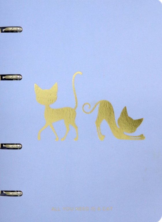 Тетрадь 100 лист кл. А5 на кольцах "Кошки"