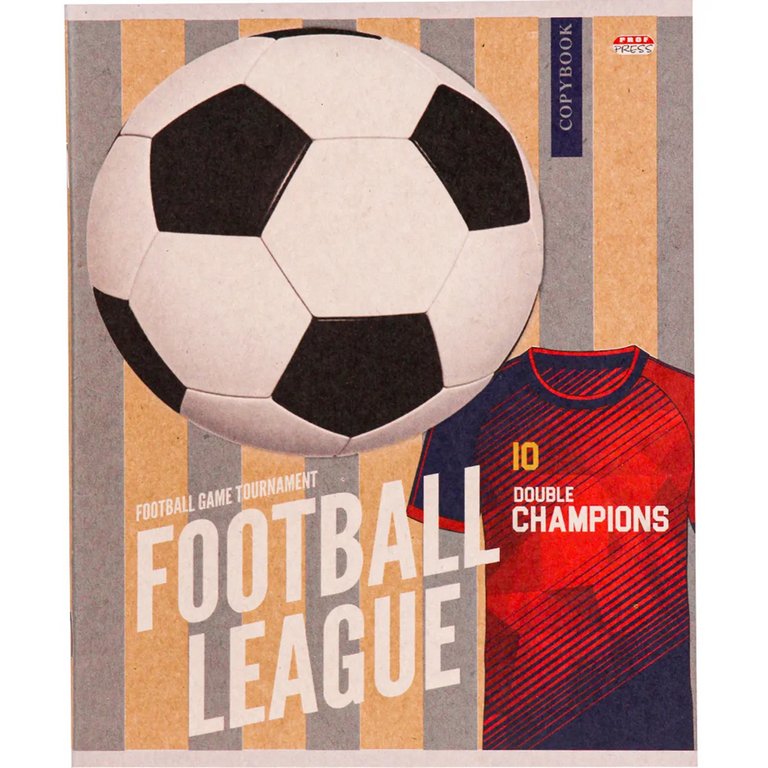 Тетрадь 48 лист кл. А5 на скрепке Prof-Press "РАЗНОЦВЕТНЫЕ МЯЧИ" обложка - крафт