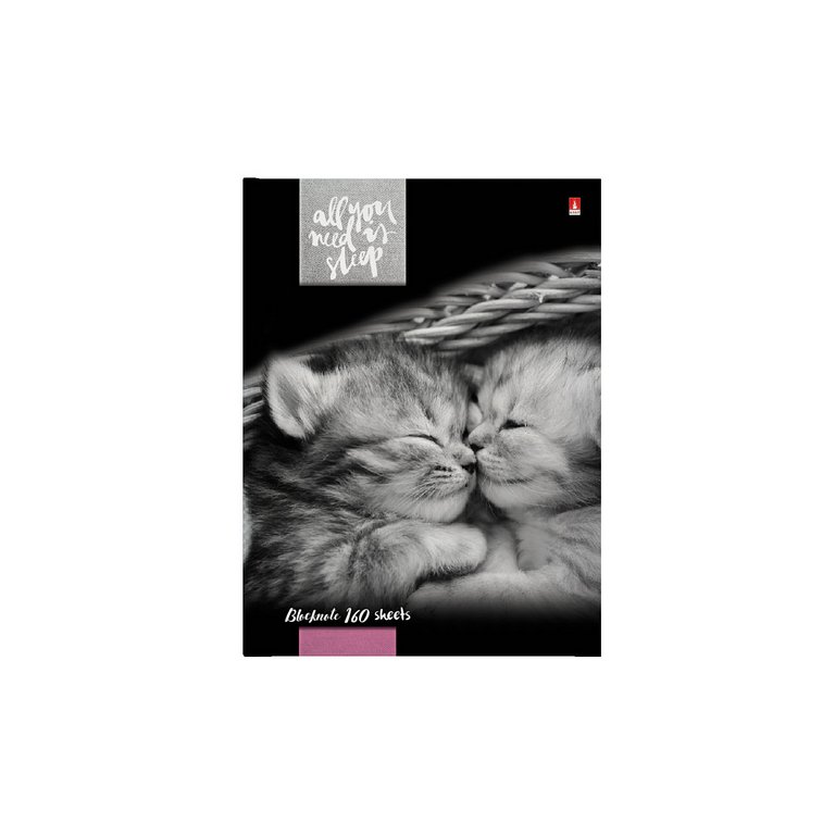 Бизнес-блокнот А6 160л., 110*145 мм, Альт "КОТЯТА "МУР-МУР"