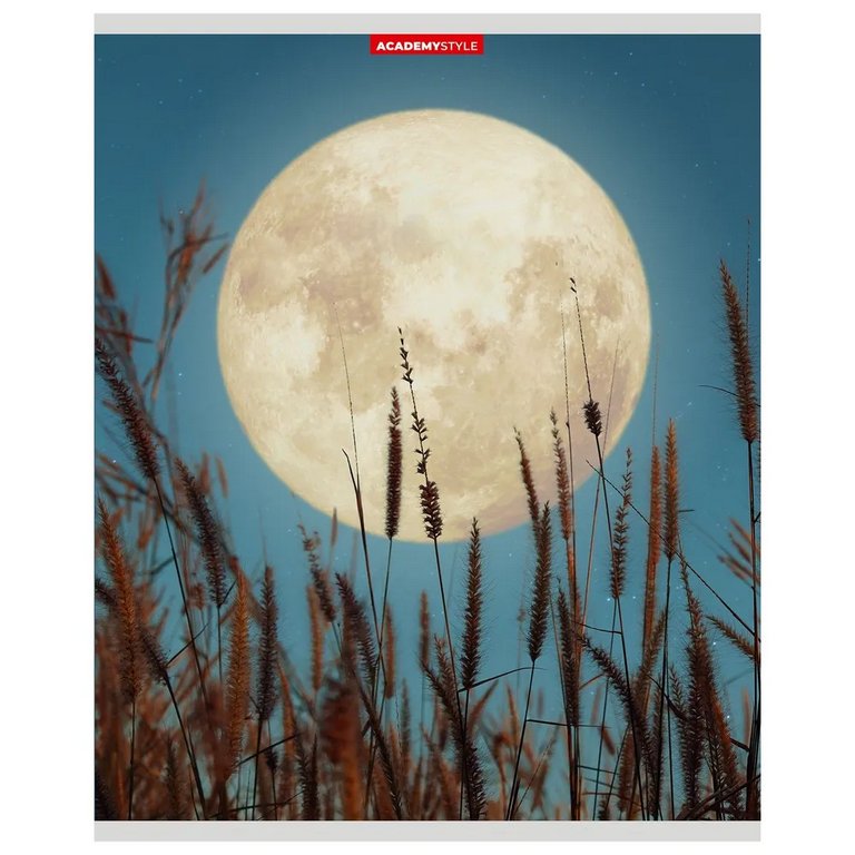 Тетрадь 80 лист кл. А5 на скрепке "Фантастическая Луна"