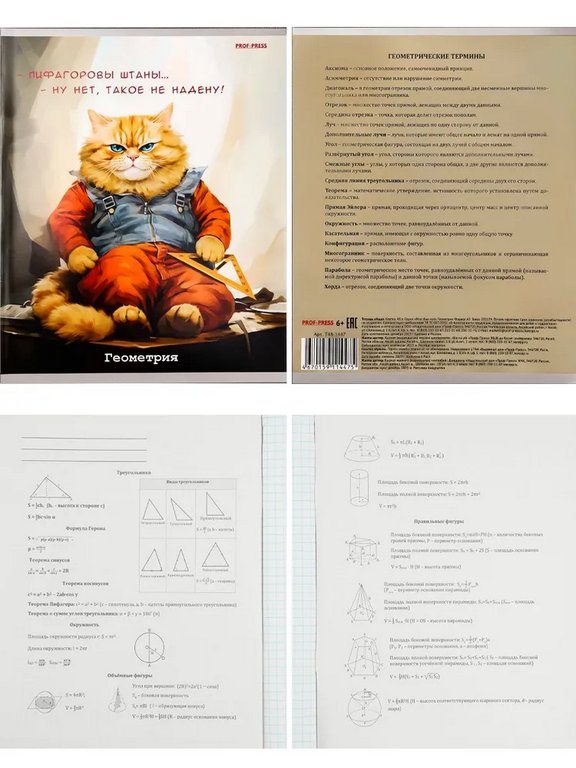 Тетради в наборе 48 лист (10шт/уп предм.тетрадей) А5 на скрепке, со справ. мат-ом "Жил был кот"