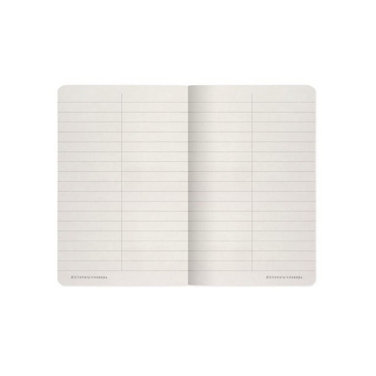 Тетрадь для записи словарных слов А6 48 лист "ПРОСТЫЕ ЦВЕТА"