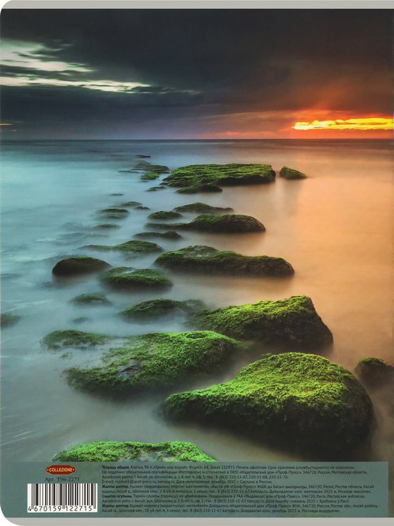 Тетрадь 96 лист кл. А4 на скрепке "ТУМАН НАД ВОДОЙ" Проф-Пресс