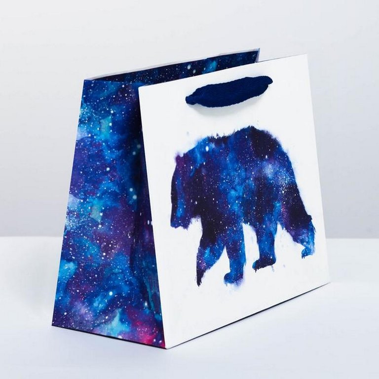 Пакет бумажный горизонтальный 23*18см ламинированный "Мишка"