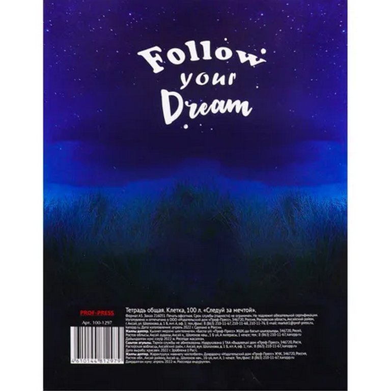 Тетрадь 100 лист кл. А5 на кольцах "СЛЕДУЙ ЗА МЕЧТОЙ"