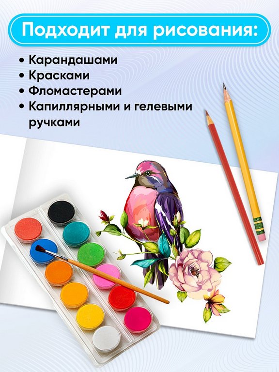 Альбом для рисования А4 40л. на клею "Классика однотонная - 14" Prof-Press