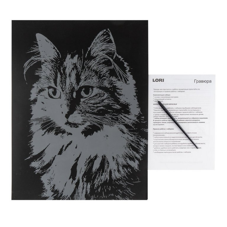 Скретчинг  А3 "Пушистая кошка" LORI