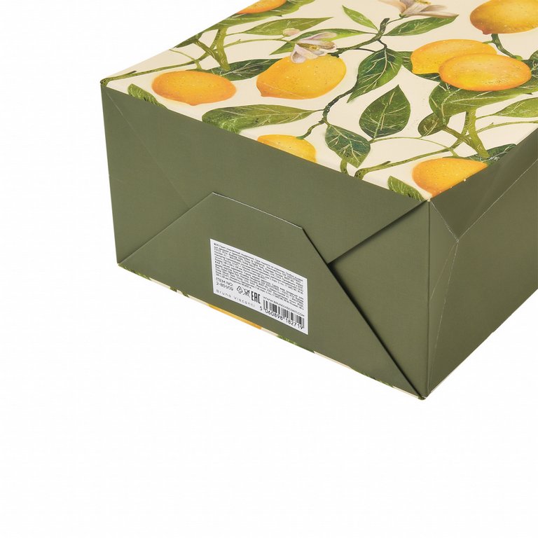 Пакет бумажный 18*23см матовый "Flora. Лимоны" BrunoVisconti