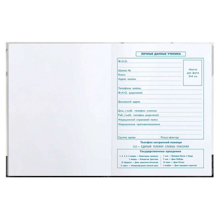 Дневник школьный твердая обложка, глянц. ламин. "ЕНОТ В ШАПОЧКЕ" 48л.