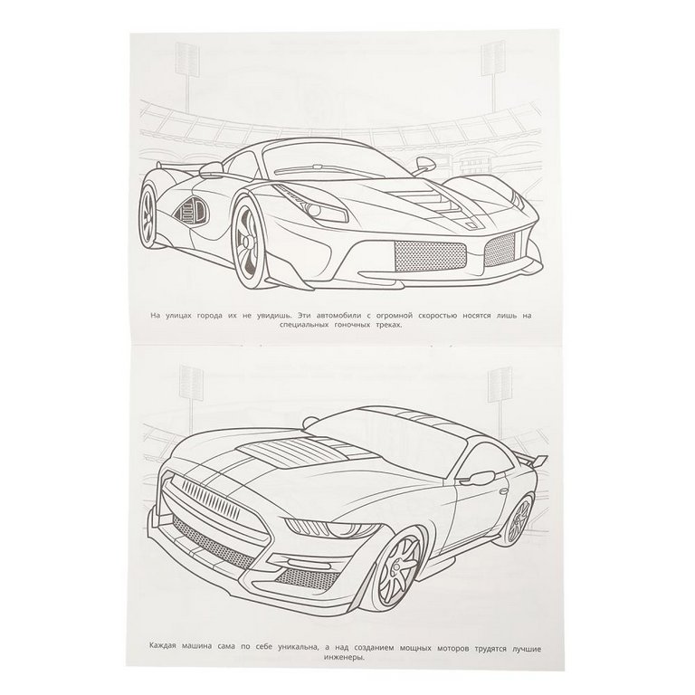 Раскраска А4 "Быстрее ветра" с игрушкой 16 стр. Умка