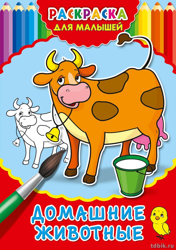 Раскраска А4 "Домашние животные" 4л  Prof-Press