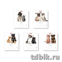 Тетрадь 12 лист кл. А5 "Дружба"