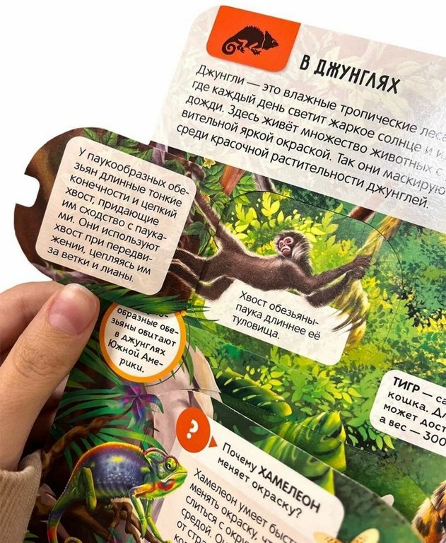 Энциклопедия 3+ "Животные" Malamalama