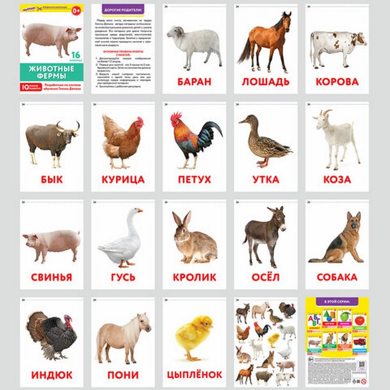 Дидактические карточки по методике Гленна Домана 145 шт. (8 тематик) Юнландия