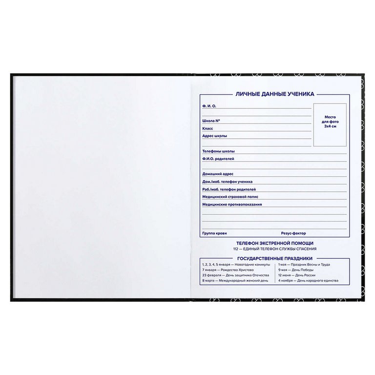 Дневник школьный твердая обложка, глянц. ламин. "Все ОК" 48л.