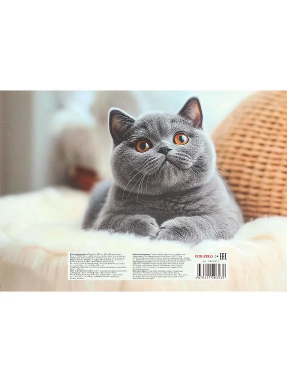 Альбом для рисования А4 48л. на клею "Взгляд котенка" Prof-Press