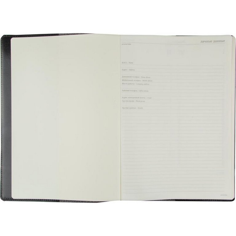 Планинг без дат 297*210 мм Bruno Visconti PROFY, черный