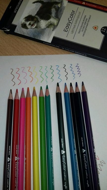 Набор карандашей  12 цв. трехгранные Bruno Visconti "EASYCOLOR"