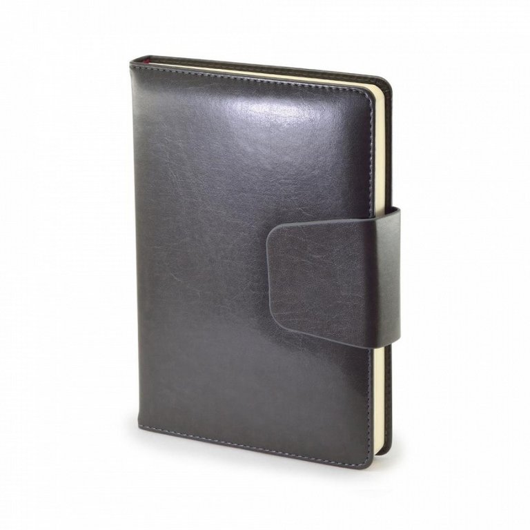 Ежедневник без дат 148*210 мм Bruno Visconti Prestige, черный