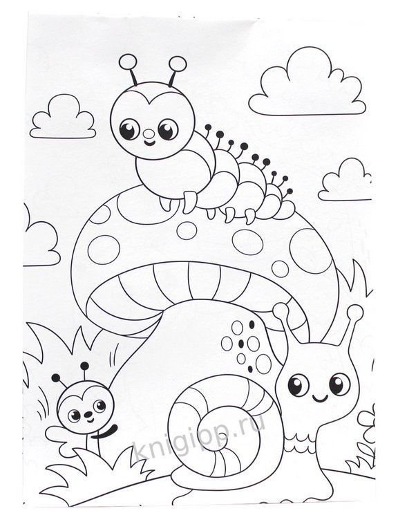 Раскраска  А5 "Животные" 16 стр.ПРОФ-пресс Раскраска  А5 "Животные" 16 стр.ПРОФ-пресс