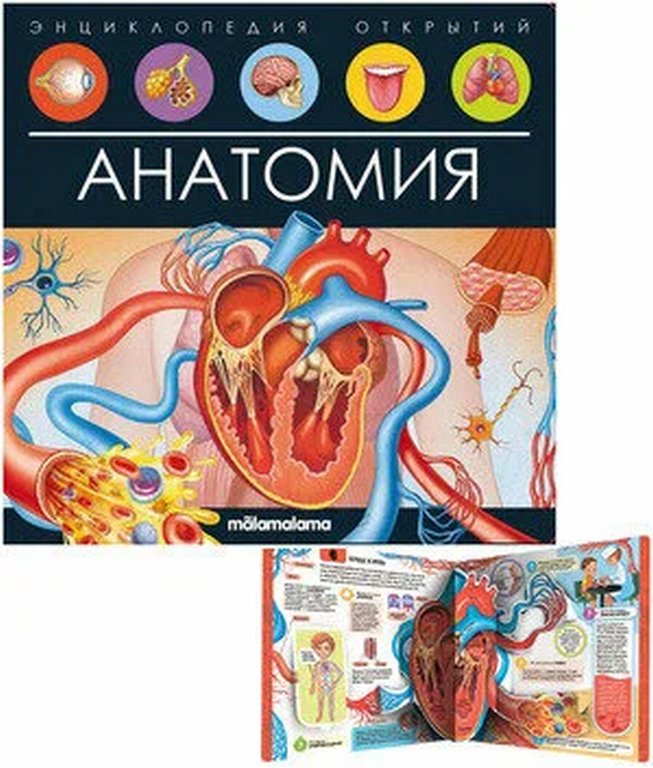 Энциклопедия 3+ "Анатомия" Malamalama