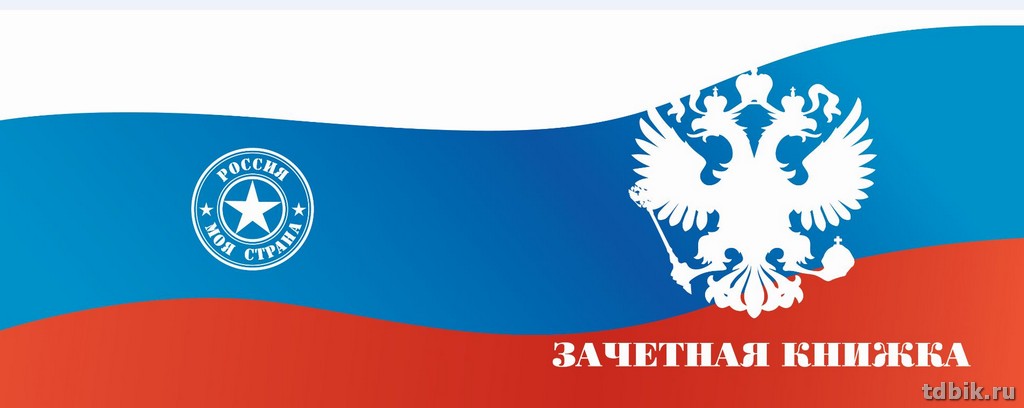 Обложка для зачетной книжки ПВХ 11,5*30 см "Триколор"