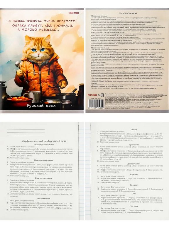 Тетради в наборе 48 лист (10шт/уп предм.тетрадей) А5 на скрепке, со справ. мат-ом "Жил был кот"