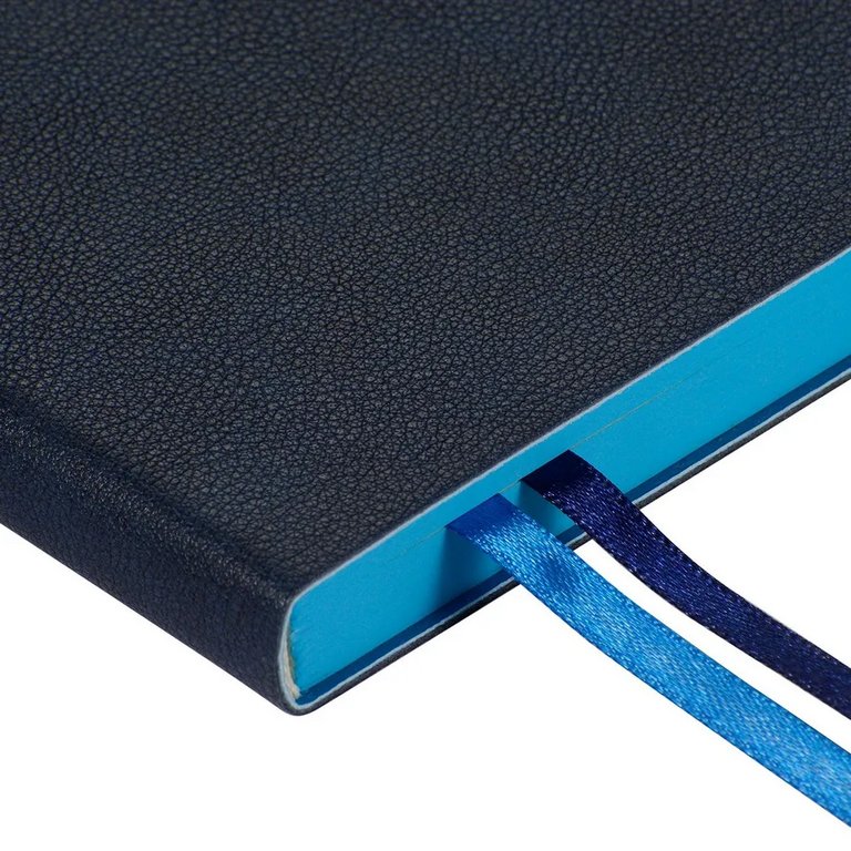 Ежедневник без дат 148*210 мм Bruno Visconti BOSTON, темно-синий