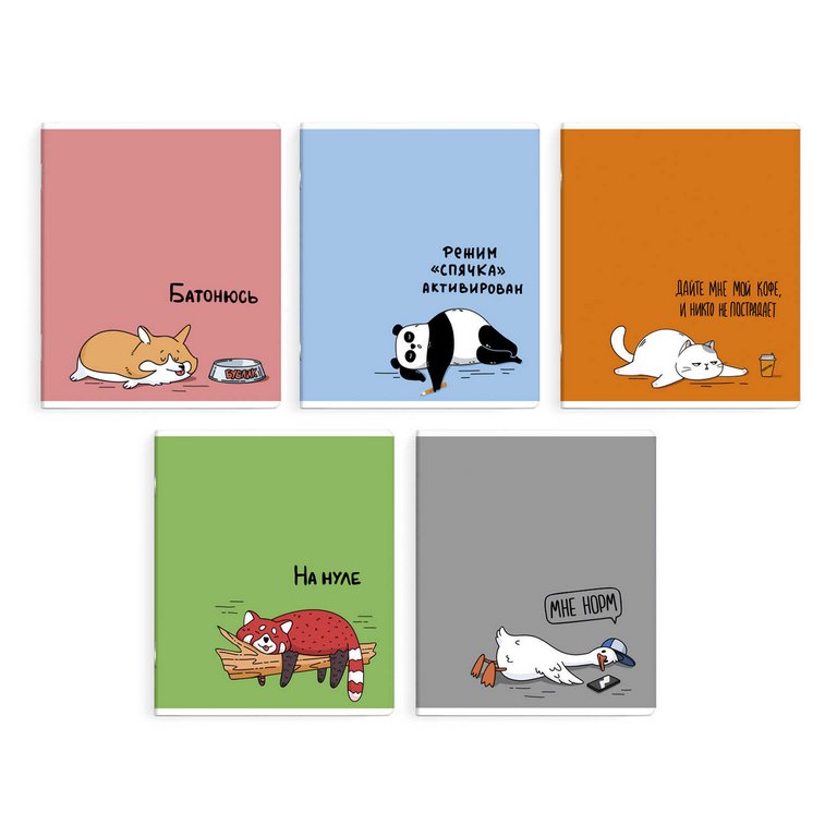 Тетрадь 48 лист кл. А5+ на скрепке "ГЕРОИ С ХАРАКТЕРОМ" 5 видов