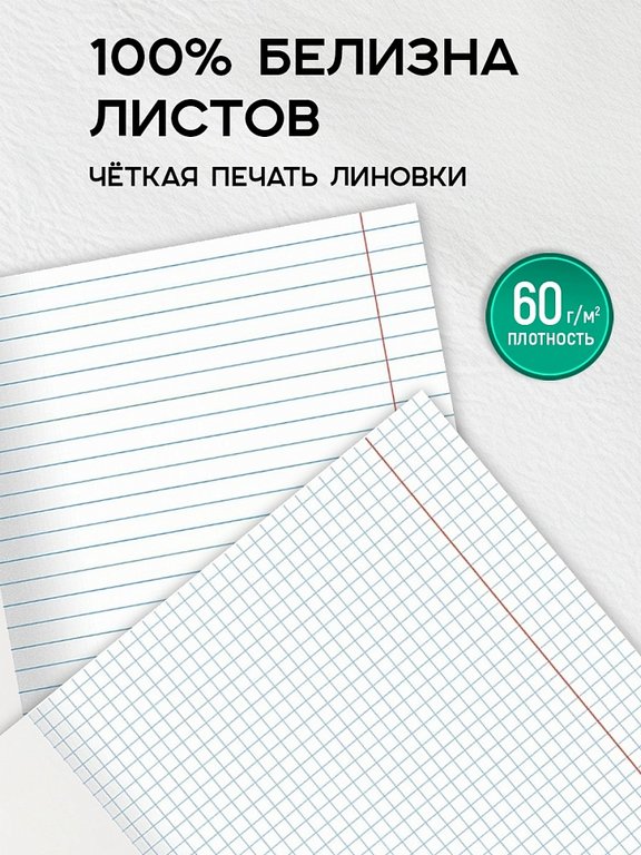 Тетради в наборе 48 лист (12шт/уп предм.тетр) А5 на скрепке, со справ. мат-ом "Texture Art"
