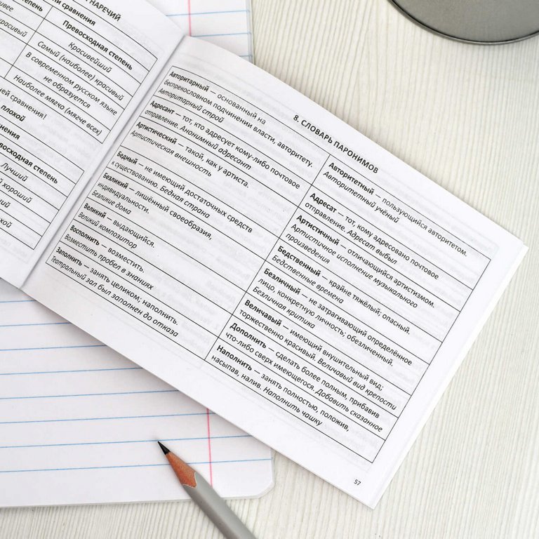 Шпаргалка для подготовки к экзаменам "Русский язык" (ОГЭ, ЕГЭ, ВПР) 32л 140*100мм