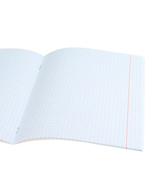 Тетрадь 48 лист кл. А5 на скрепке Prof-Press "СОВРЕМЕННЫЕ ПАРЫ" цвет. мелов. обл., твин-лак