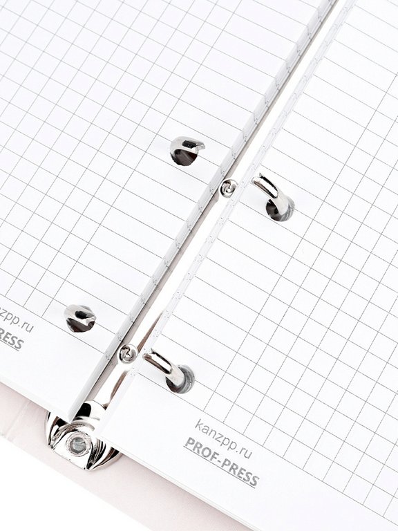 Тетрадь 120 лист кл. А5+ на кольцах "МИНИМАЛИЗМ В ПАСТЕЛЬНЫХ ТОНАХ" тв. обл. Проф-Пресс