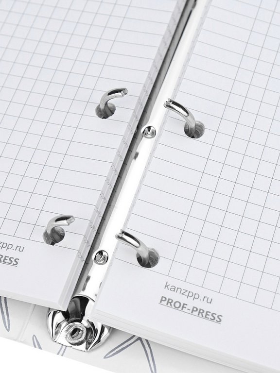 Тетрадь 120 лист кл. А5+ на кольцах "МОРСКАЯ ПЕНА" тв. обл. Проф-Пресс