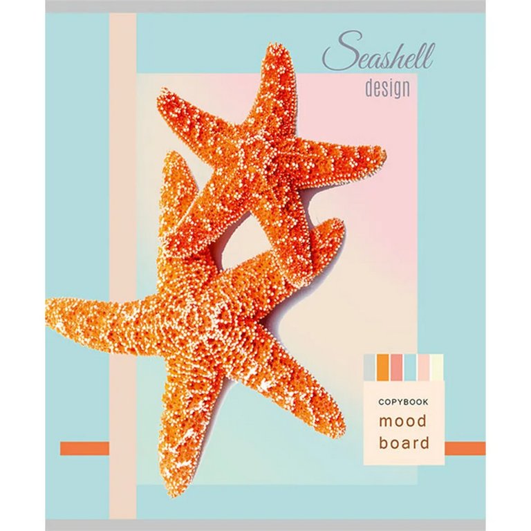 Тетрадь 48 лист кл. А5 на скрепке Collezione "РАКУШКИ СО ДНА"  цвет. мелов. обл.